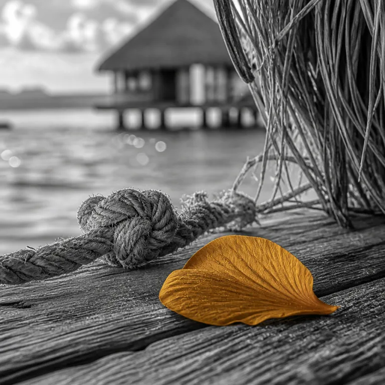 Belize cabanas over water for secluded island romance and reef adventure